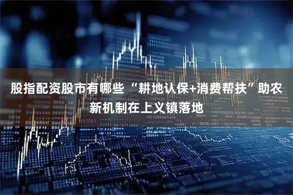 股指配资股市有哪些 “耕地认保+消费帮扶”助农新机制在上义镇落地
