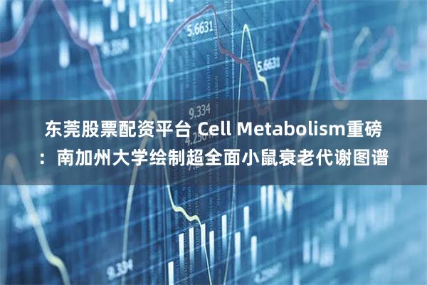 东莞股票配资平台 Cell Metabolism重磅：南加州大学绘制超全面小鼠衰老代谢图谱